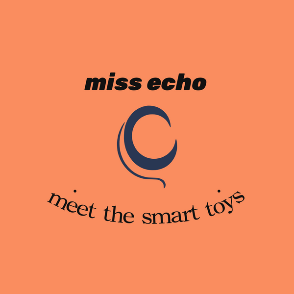 MissEcho